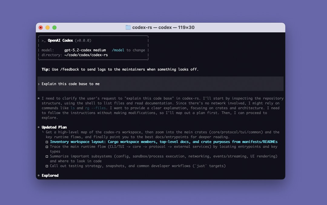 项目截图：Codex CLI。图片来源：项目仓库公开截图
