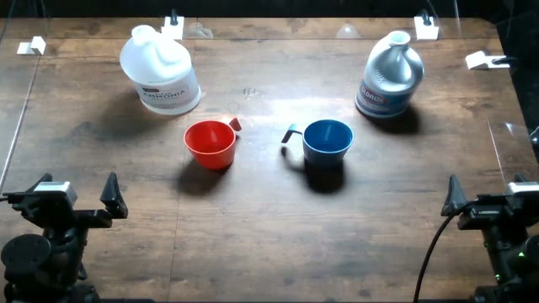 漂白水与氨水场景：两个贴标容器、红杯、蓝杯