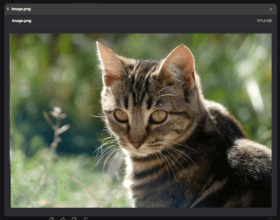 AKS1st/dock-images 预览 preview