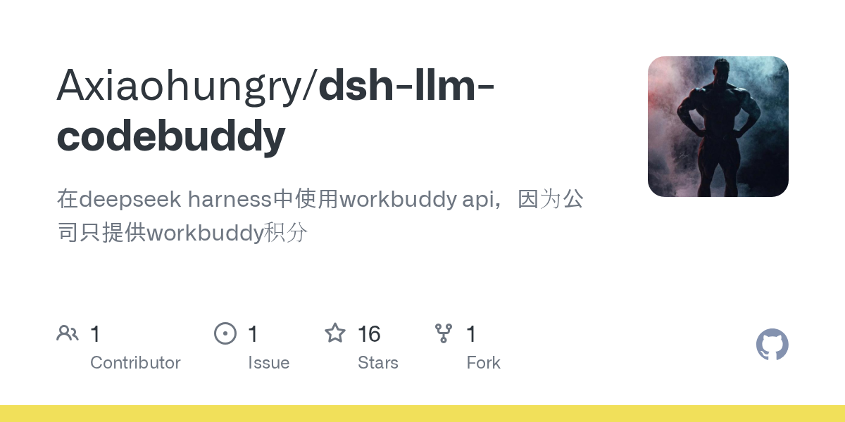 Axiaohungry/dsh-llm-codebuddy preview