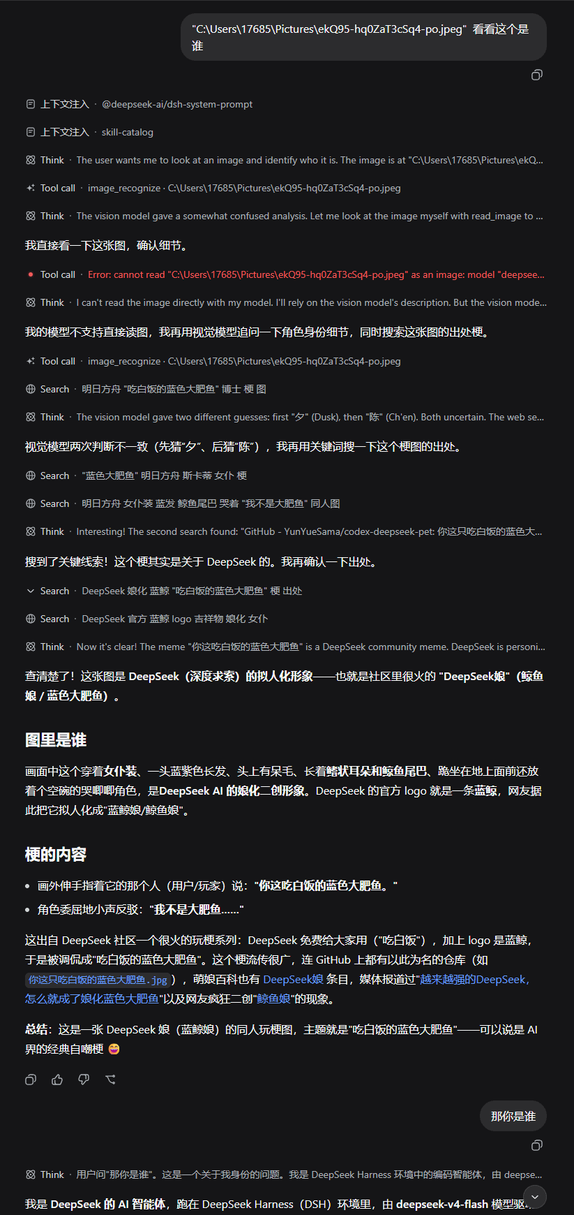 chenkezhen480/dsh-multimodal 预览 preview