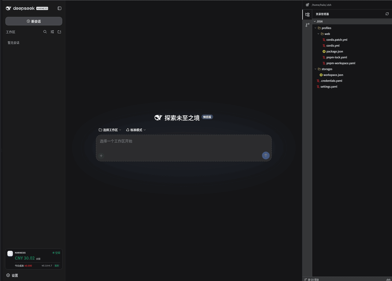 deepseek-dsh/dsh-workspace 预览 preview