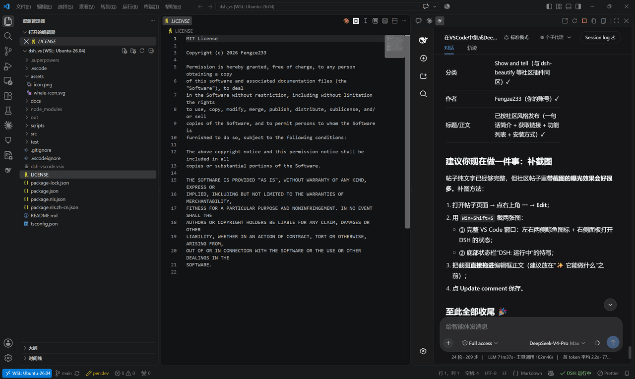 Fengze233/dsh-vscode 预览 preview