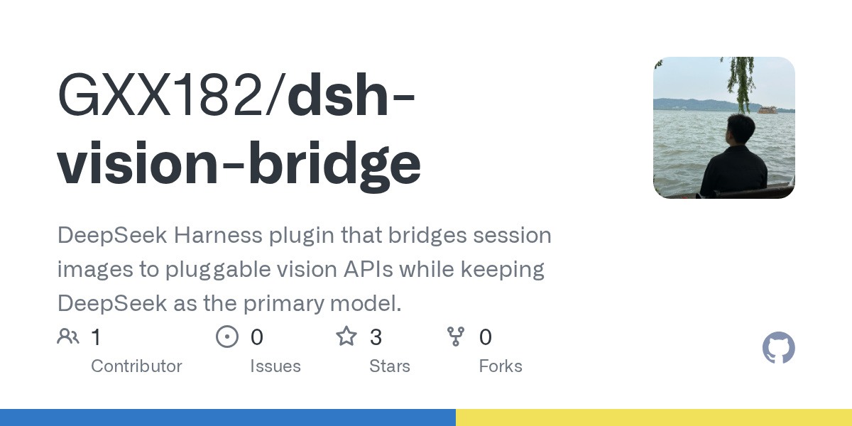 GXX182/dsh-vision-bridge preview