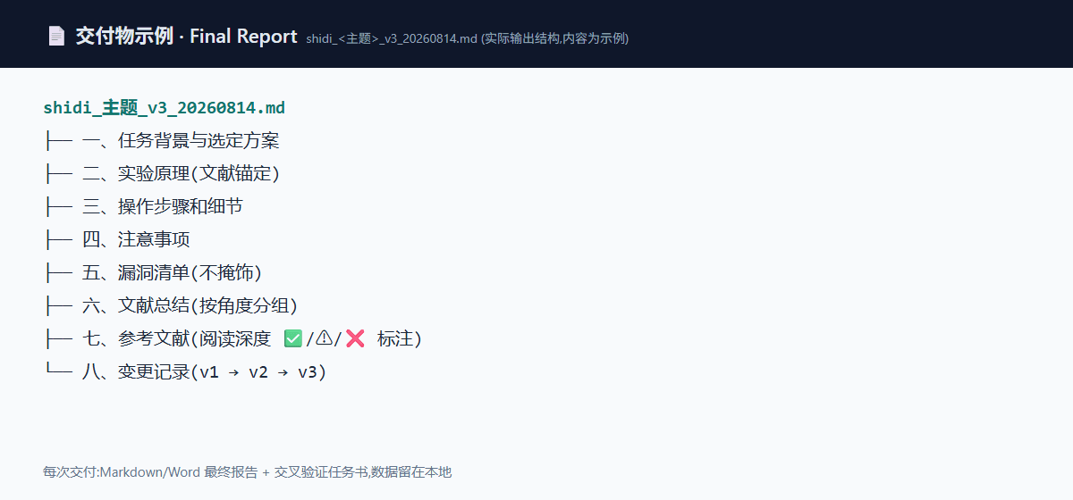 IcyCreamDAS/shidi-skill 预览 preview