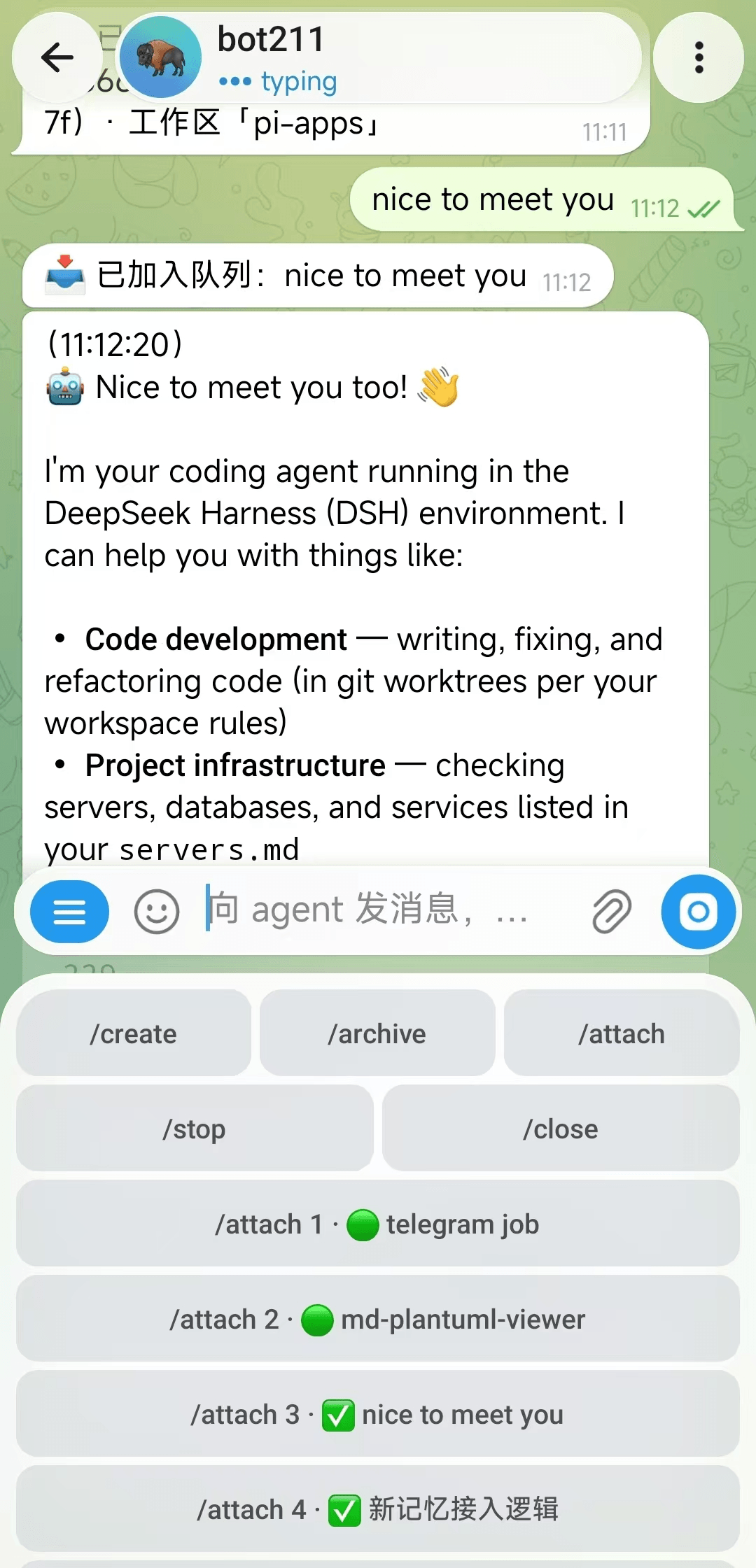 Kevin66Z0/dsh-telegram 预览 preview