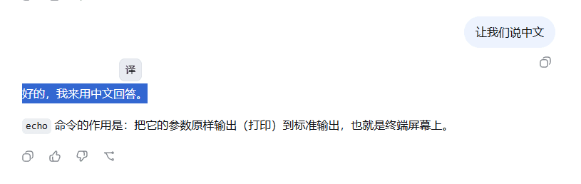 nicearrack/dsh-translator 预览 preview