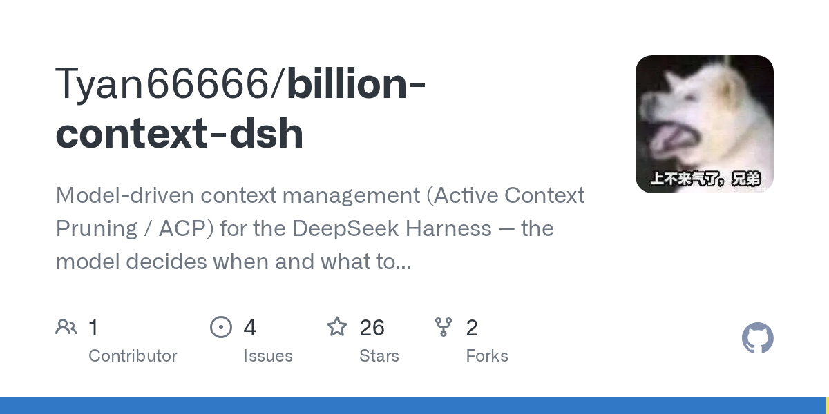 Tyan66666/billion-context-dsh preview