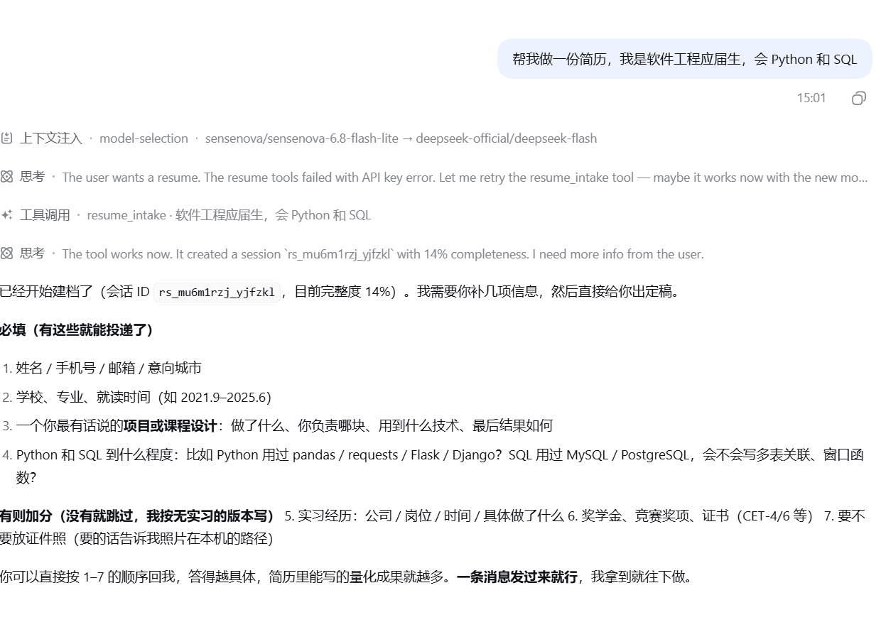 wmw343/dsh-resume-expert 预览 preview