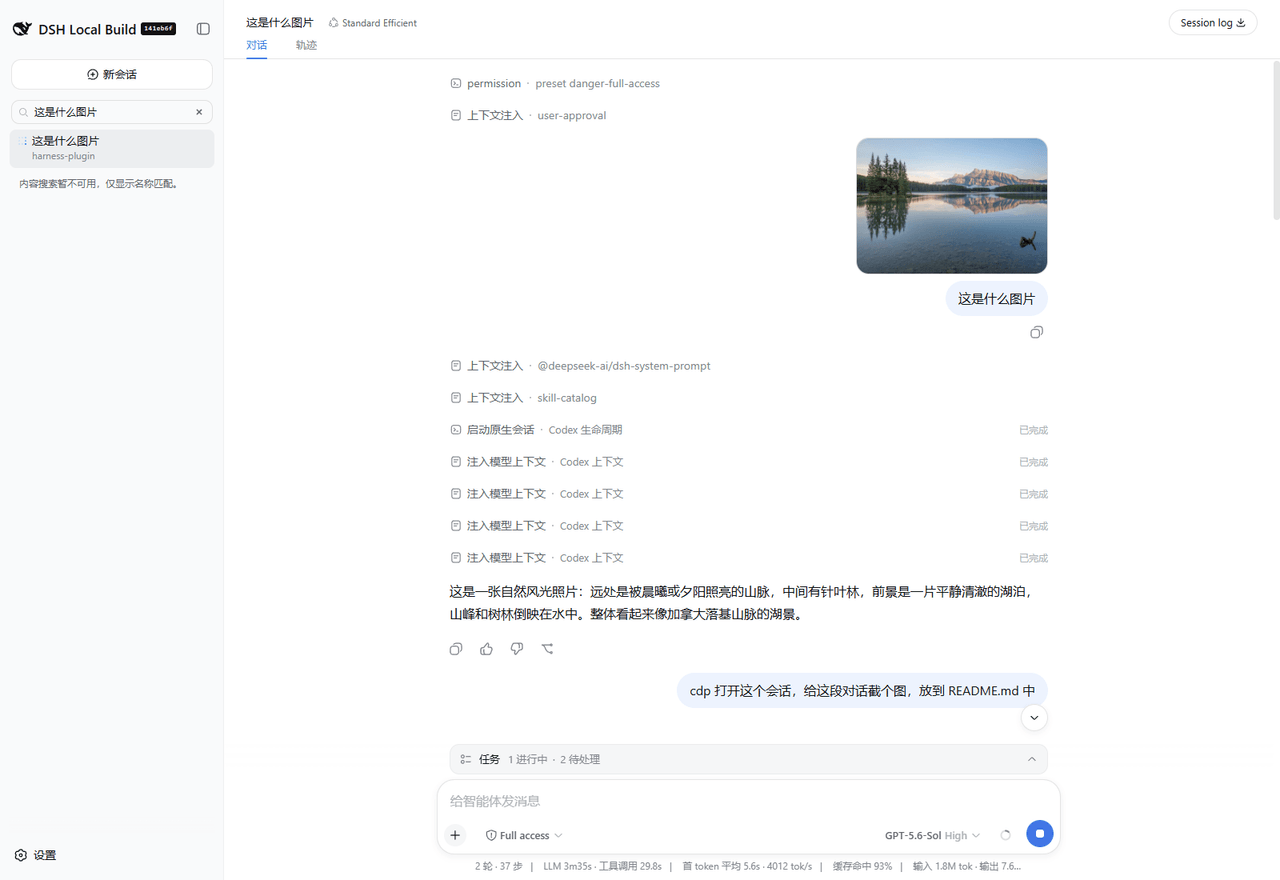 wss534857356/dsh-plugin-codex 预览 preview