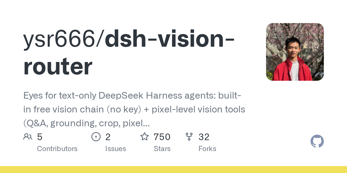 ysr666/dsh-vision-router preview